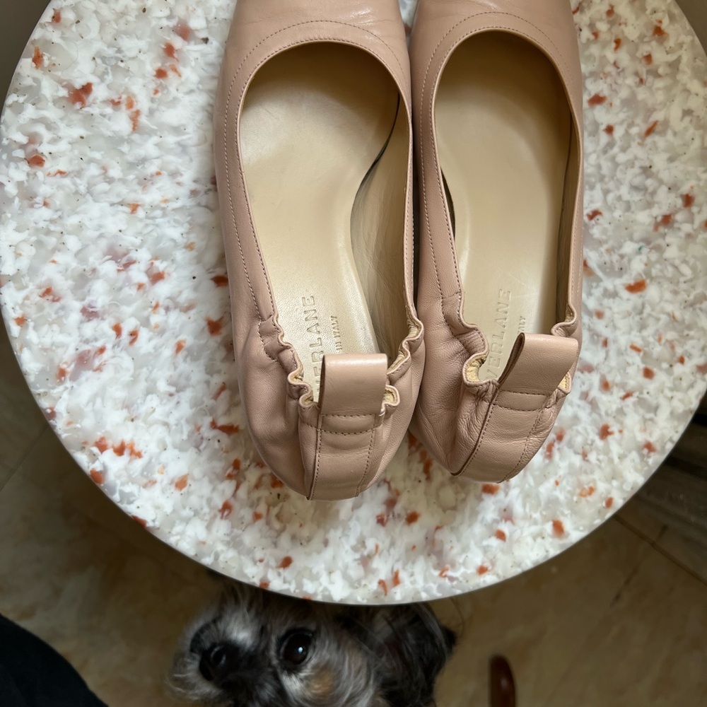 Everlane The Day Heel Blush Tan